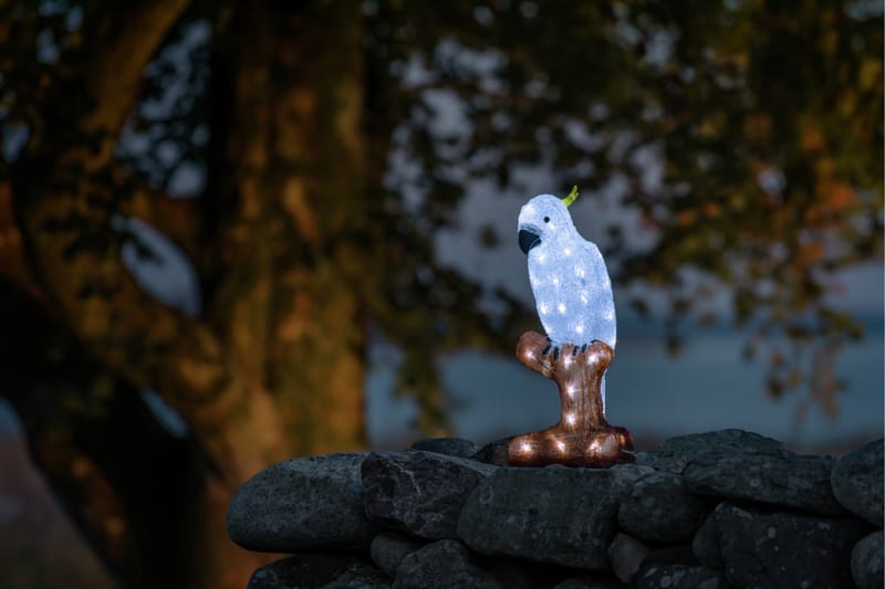 Papegoja akryl 47cm LED Transparent - Konstsmide - Belysning - Innendørsbelysning & Lamper - Dekorasjonsbelysning
