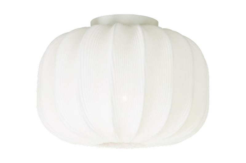 Aneta Madame Plafond 330 cm - Aneta Lighting - Belysning - Innendørsbelysning & Lamper - Taklampe - Pendellamper & Hengelamper