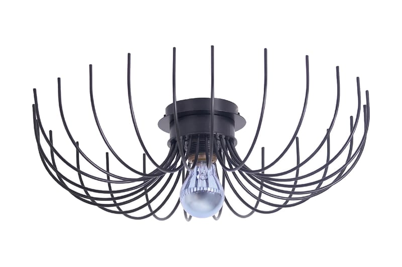 Homemania Vegglampe - Homemania - Belysning - Innendørsbelysning & Lamper - Vegglampe - Veggplafond