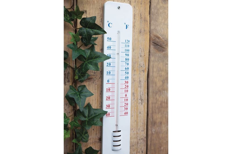 Esschert Design Veggtermometer 45 cm TH13 - Hage - Utemiljø - Hagedekorasjon - Regn & temperatur - Utetermometer