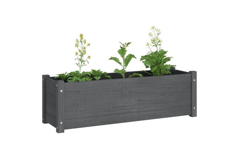 Plantekasse 2 stk grå 100x31x31 cm heltre furu - Grå - Hagemøbler - Øvrig utendørs - Tilbehør utendørs - Hagekrukker