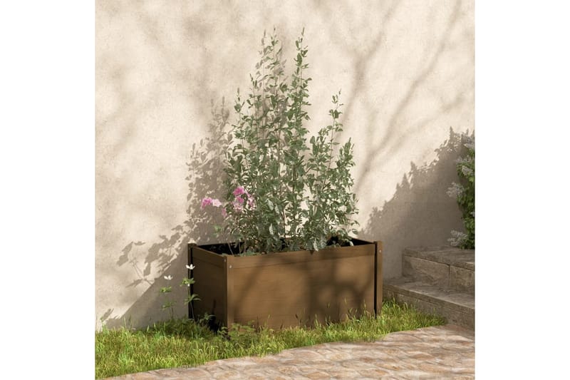 Plantekasse 2 stk honningbrun 100x50x50 cm heltre furu - Brun - Hagemøbler - Øvrig utendørs - Tilbehør utendørs - Hagekrukker