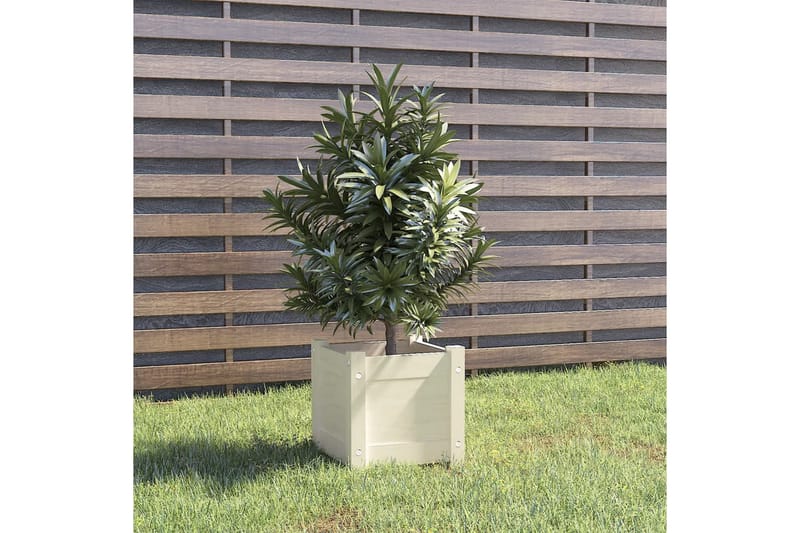 Plantekasse hvit 31x31x31 cm heltre furu - Hvit - Hagemøbler - Øvrig utendørs - Tilbehør utendørs - Hagekrukker