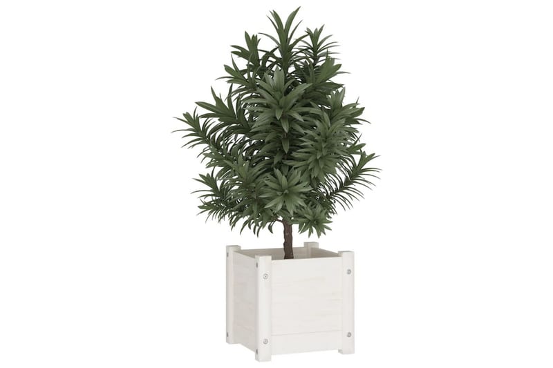 Plantekasse hvit 31x31x31 cm heltre furu - Hvit - Hagemøbler - Øvrig utendørs - Tilbehør utendørs - Hagekrukker
