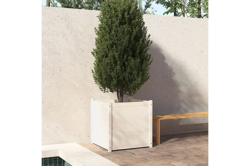 Plantekasse hvit 70x70x70 cm heltre furu - Hvit - Hagemøbler - Øvrig utendørs - Tilbehør utendørs - Hagekrukker