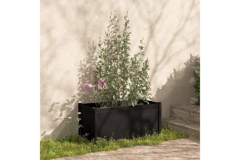 Plantekasse svart 100x50x50 cm heltre furu - Svart - Hagemøbler - Øvrig utendørs - Tilbehør utendørs - Hagekrukker