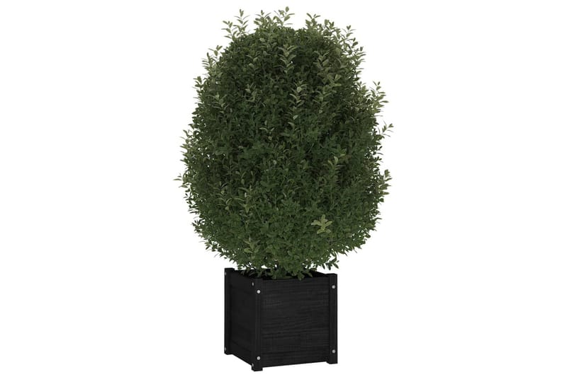 Plantekasser 2 stk svart 40x40x40 cm heltre furu - Svart - Hagemøbler - Øvrig utendørs - Tilbehør utendørs - Hagekrukker