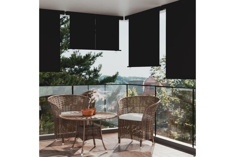 Sidemarkise for balkong 170x250 cm svart - Svart - Hagemøbler - Balkong - Sikkerhet & vindbeskyttelse balkong - Balkongbeskyttelse