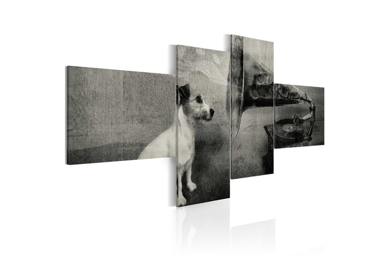 Bilde A Gramophone And A Dog 100x45 - Artgeist sp. z o. o. - Innredning - Bilder & kunst - Lerretsbilder