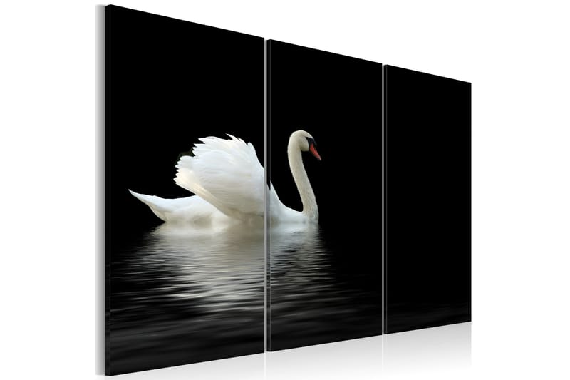 Bilde A Lonely White Swan 60x40 - Artgeist sp. z o. o. - Innredning - Bilder & kunst - Lerretsbilder