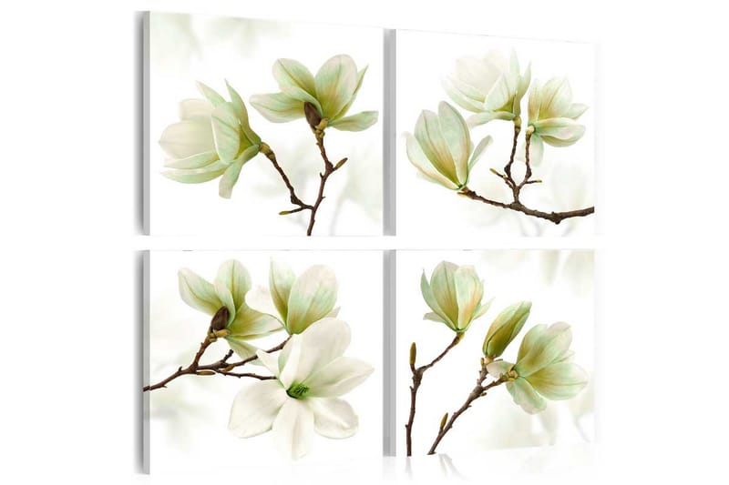 Bilde Admiration Of Magnolia 80x80 - Artgeist sp. z o. o. - Innredning - Bilder & kunst - Lerretsbilder