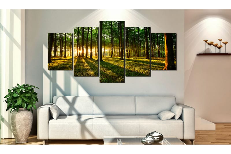 Bilde Adventure In The Woods 100x50 - Artgeist sp. z o. o. - Innredning - Bilder & kunst - Lerretsbilder
