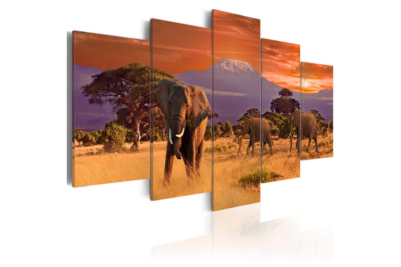 Bilde Africa Elephants 200x100 - Artgeist sp. z o. o. - Innredning - Bilder & kunst - Lerretsbilder