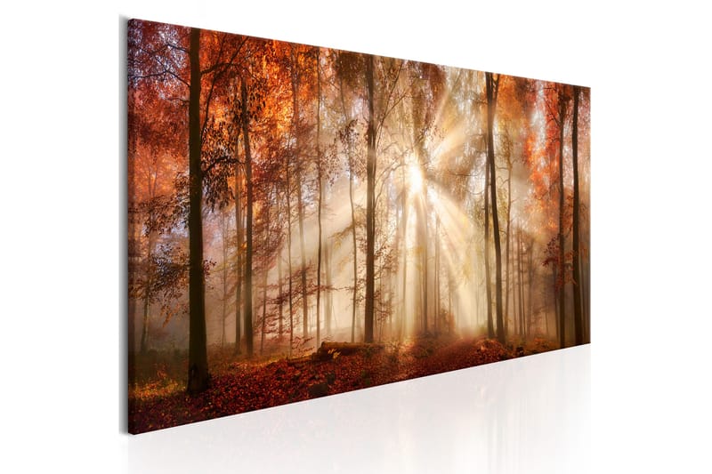 Bilde Autumnal Dawn 150x50 - Artgeist sp. z o. o. - Innredning - Bilder & kunst - Lerretsbilder