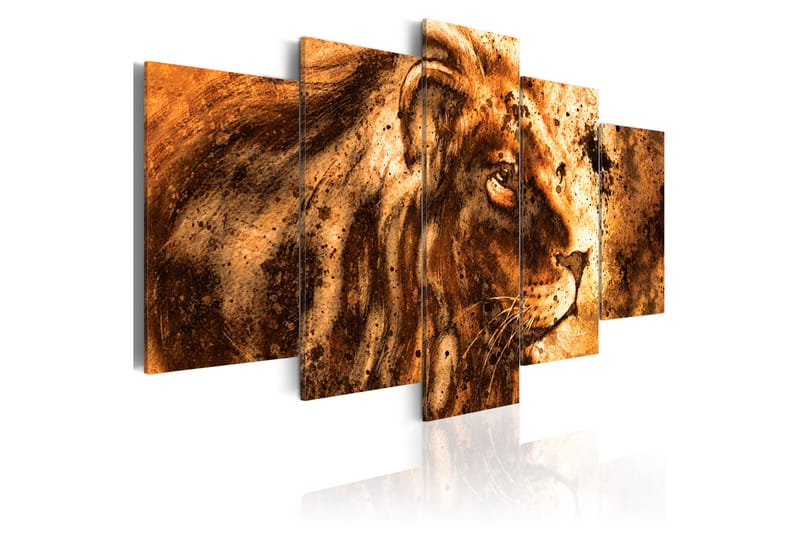 Bilde Beautiful Lion 100x50 - Artgeist sp. z o. o. - Innredning - Bilder & kunst - Lerretsbilder