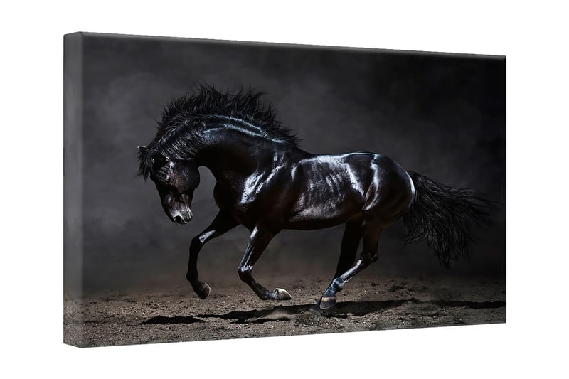Bilde Canvas Sølv Black Horse - 75x100 cm - Tekstiler - Tepper & Matter - Store tepper