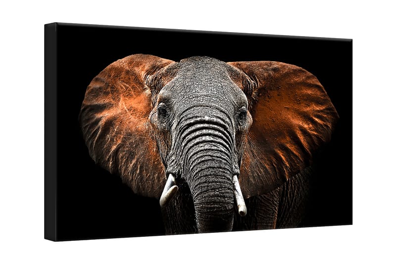 Bilde Canvas Sølv Red Elephant - 75x100 cm - Innredning - Bilder & kunst - Lerretsbilder