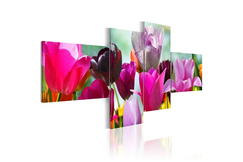 Bilde Charming Red Tulips 200x90 - Artgeist sp. z o. o. - Innredning - Bilder & kunst - Lerretsbilder