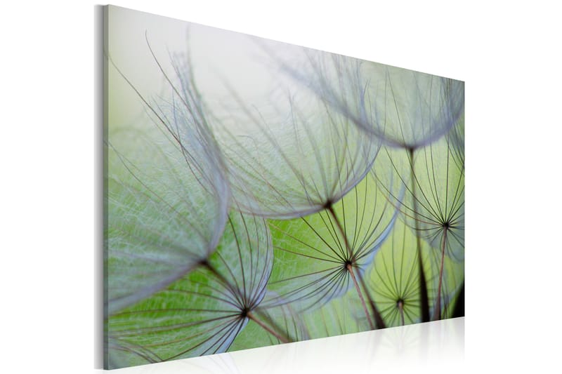 Bilde Dandelion In The Wind 90x60 - Artgeist sp. z o. o. - Innredning - Bilder & kunst - Lerretsbilder