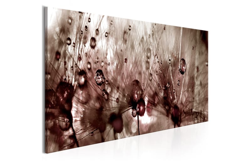 Bilde Dandelions After Rain 150x50 - Artgeist sp. z o. o. - Innredning - Bilder & kunst - Lerretsbilder