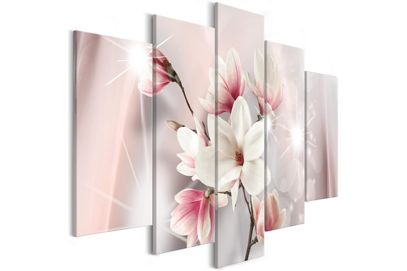 Bilde Dazzling Magnolias 5 Parts Wide 100x50 - Artgeist sp. z o. o. - Innredning - Bilder & kunst - Lerretsbilder