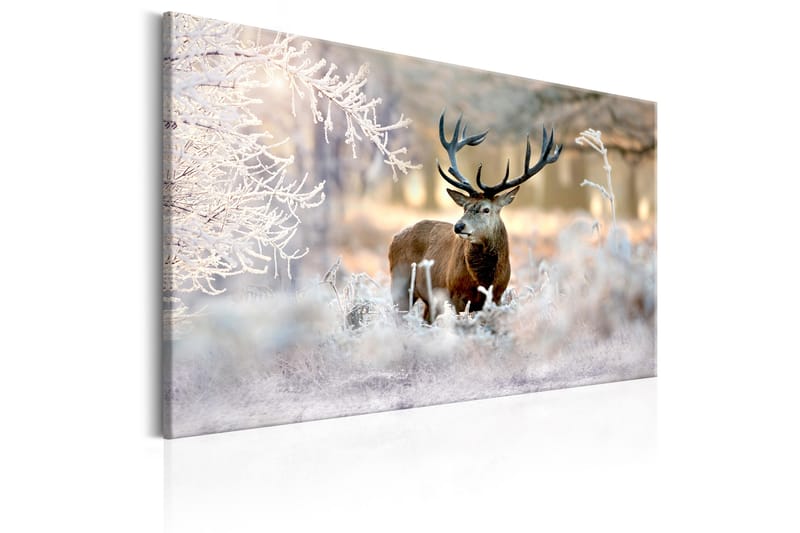 Bilde Deer In The Cold 120x80 - Artgeist sp. z o. o. - Innredning - Bilder & kunst