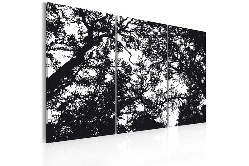 Bilde Dense forest 90x60 - Artgeist sp. z o. o. - Innredning - Bilder & kunst - Lerretsbilder