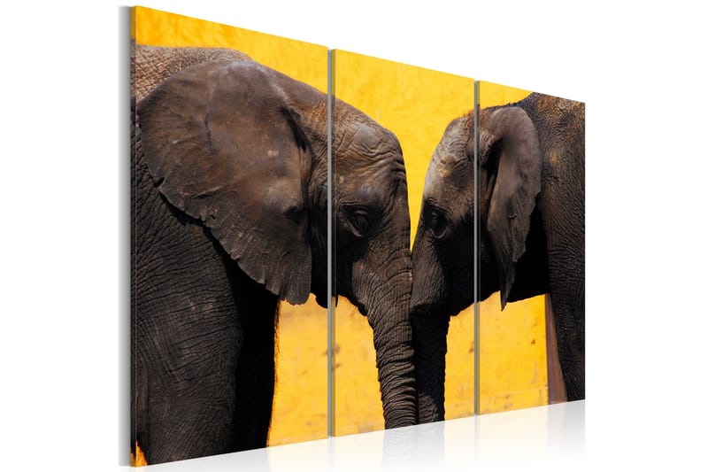 Bilde Elephant Kiss 120x80 - Artgeist sp. z o. o. - Innredning - Bilder & kunst - Lerretsbilder