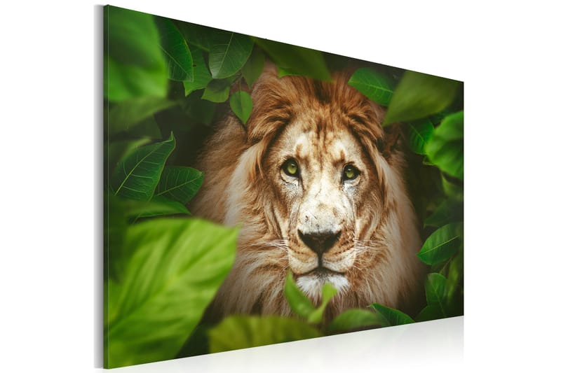 Bilde Eyes Of The Jungle 90x60 - Artgeist sp. z o. o. - Innredning - Bilder & kunst - Lerretsbilder