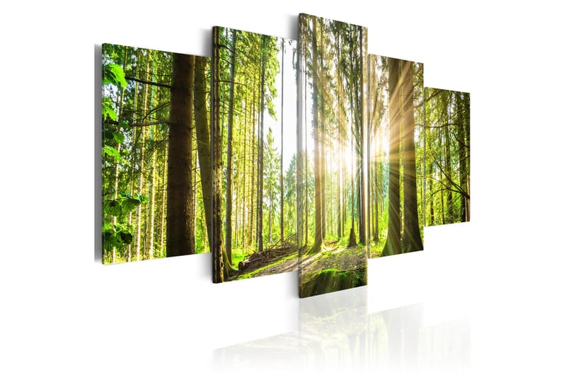 Bilde Forest Kingdom 100x50 - Artgeist sp. z o. o. - Innredning - Bilder & kunst