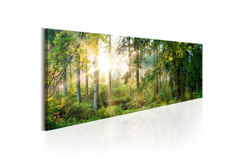 Bilde Forest Shelter 150x50 - Artgeist sp. z o. o. - Innredning - Bilder & kunst - Lerretsbilder