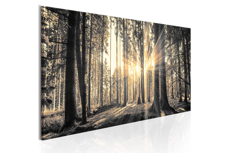 Bilde Forest Sun 150x50 - Artgeist sp. z o. o. - Innredning - Bilder & kunst - Lerretsbilder