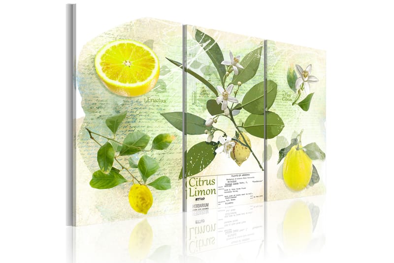 Bilde Fruit: lemon 90x60 - Artgeist sp. z o. o. - Innredning - Bilder & kunst - Lerretsbilder