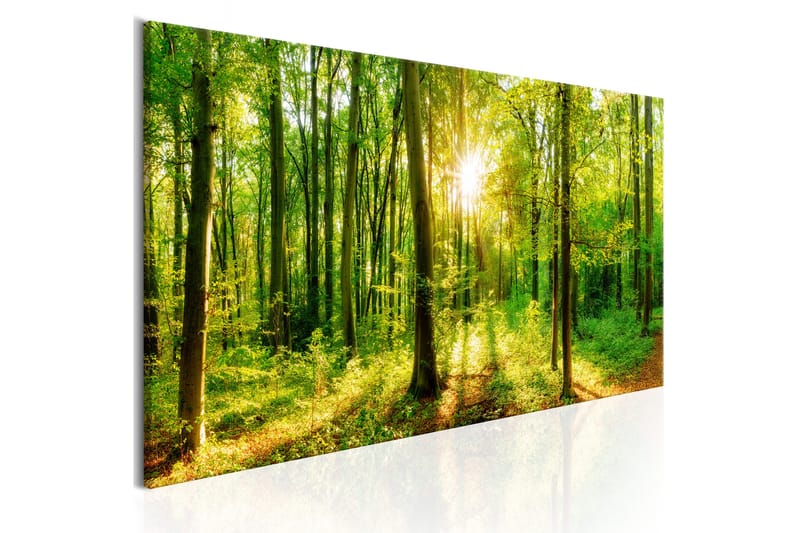 Bilde Green Magic 150x50 - Artgeist sp. z o. o. - Innredning - Bilder & kunst - Lerretsbilder