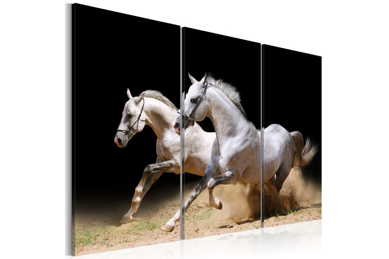 Bilde Horses- Power And Velocity 120x80 - Artgeist sp. z o. o. - Innredning - Bilder & kunst - Lerretsbilder