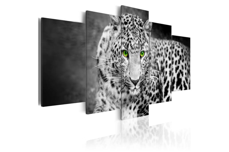 Bilde Leopard Black&White 200x100 - Artgeist sp. z o. o. - Innredning - Bilder & kunst - Lerretsbilder
