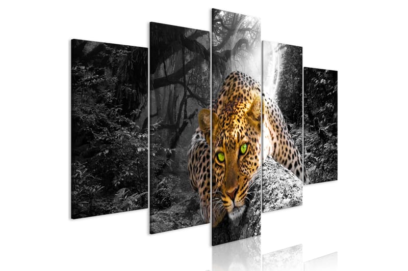 Bilde Leopard Lying 5 Parts Wide Grey 100x50 - Artgeist sp. z o. o. - Innredning - Bilder & kunst - Lerretsbilder
