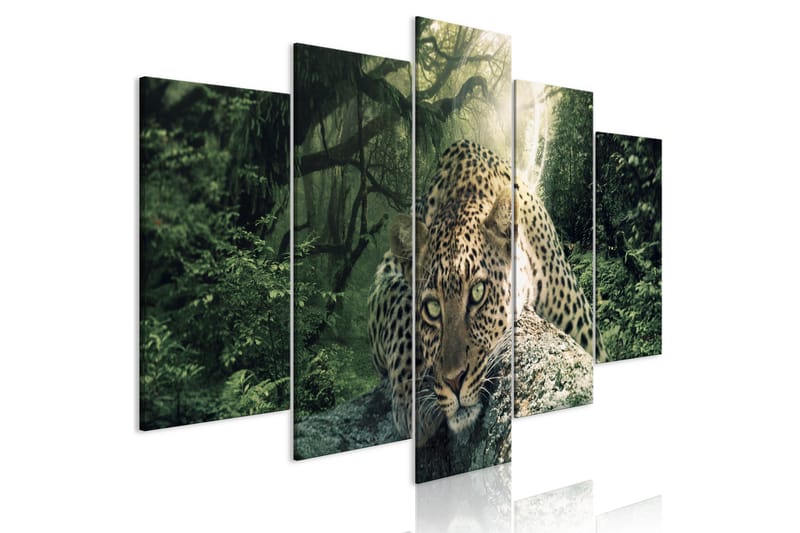 Bilde Leopard Lying 5 Parts Wide Pale Green 200x100 - Artgeist sp. z o. o. - Innredning - Bilder & kunst - Lerretsbilder
