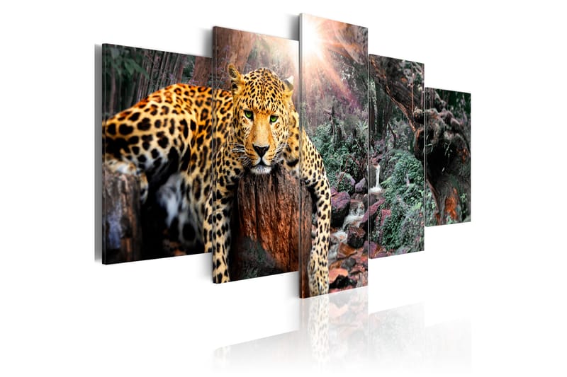 Bilde Leopard Relaxation 100x50 - Artgeist sp. z o. o. - Innredning - Bilder & kunst - Lerretsbilder