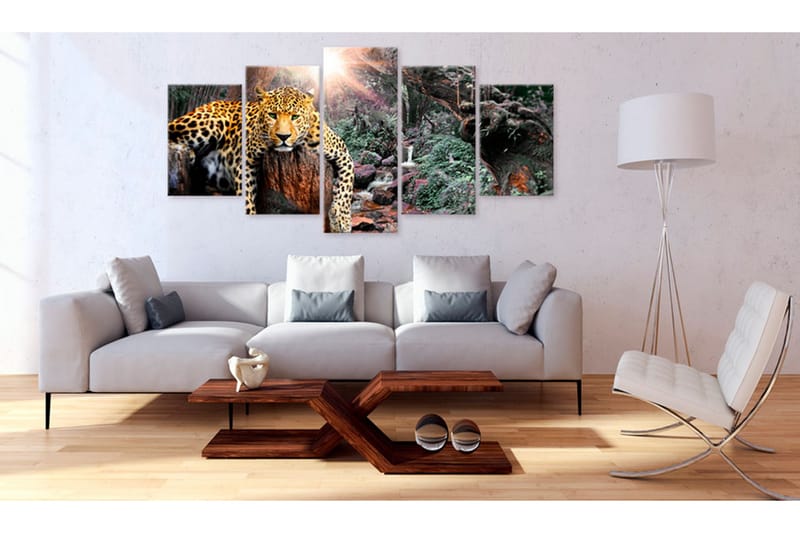 Bilde Leopard Relaxation 100x50 - Artgeist sp. z o. o. - Innredning - Bilder & kunst - Lerretsbilder