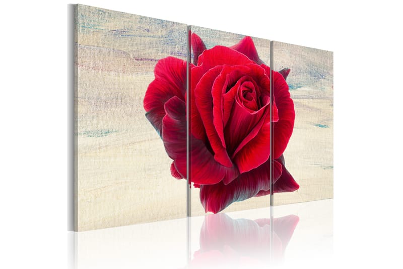 Bilde Lyrical rose 90x60 - Artgeist sp. z o. o. - Innredning - Bilder & kunst - Lerretsbilder
