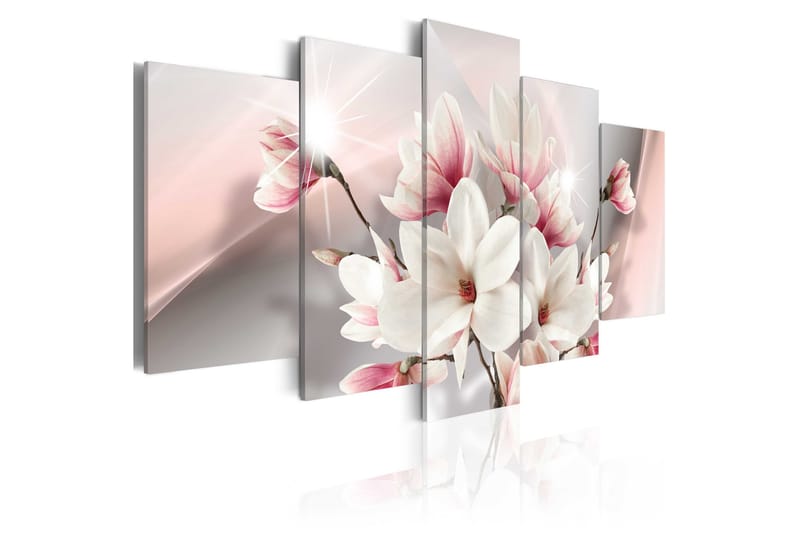 Bilde Magnolia In Bloom 100x50 - Artgeist sp. z o. o. - Innredning - Bilder & kunst - Lerretsbilder