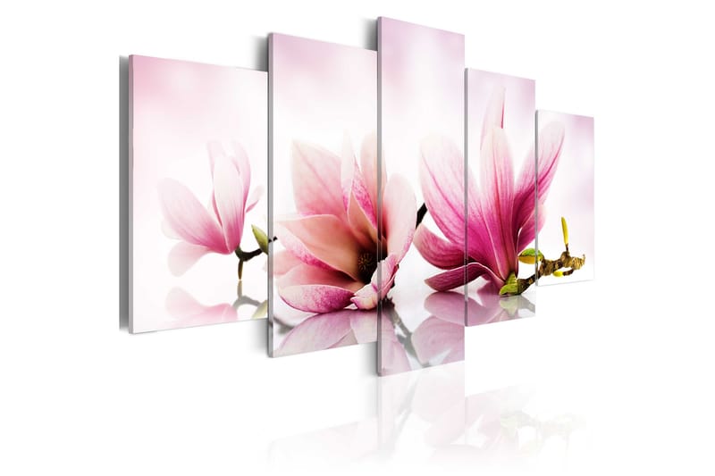 Bilde Magnolias Pink Flowers 200x100 - Artgeist sp. z o. o. - Innredning - Bilder & kunst - Lerretsbilder