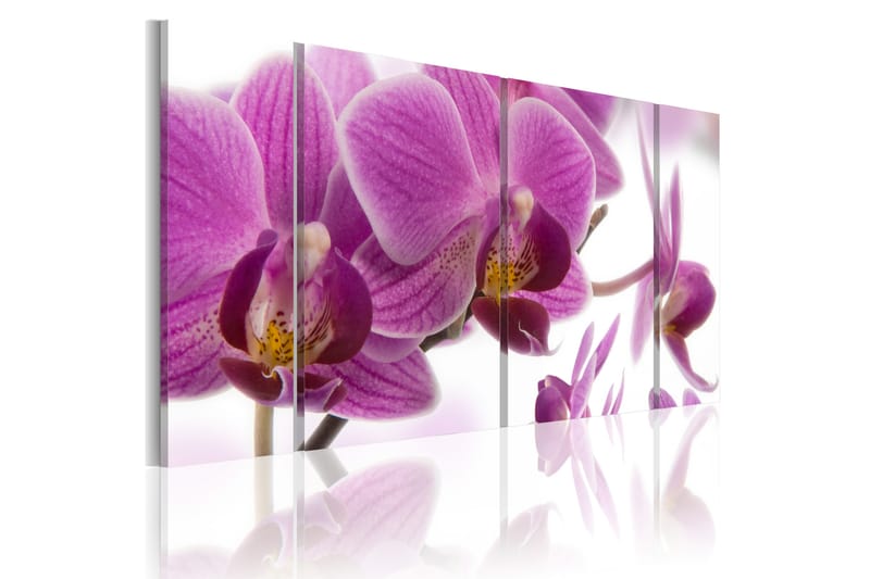 Bilde Marvelous Orchid 120x60 - Artgeist sp. z o. o. - Innredning - Bilder & kunst - Lerretsbilder