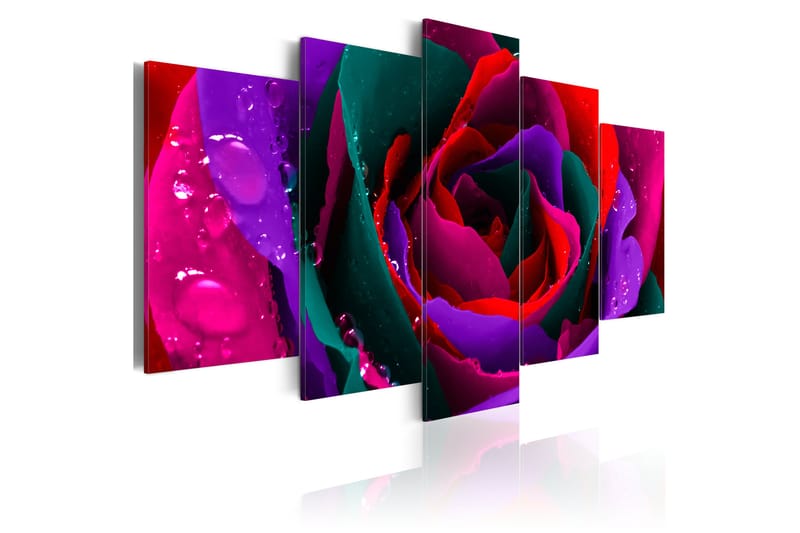 Bilde Multicoloured Rose 100x50 - Artgeist sp. z o. o. - Innredning - Bilder & kunst - Lerretsbilder