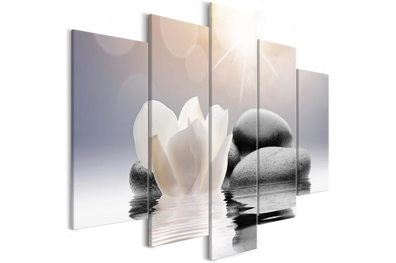 Bilde Natural Lightness 5 Parts Wide 200x100 - Artgeist sp. z o. o. - Innredning - Bilder & kunst - Lerretsbilder