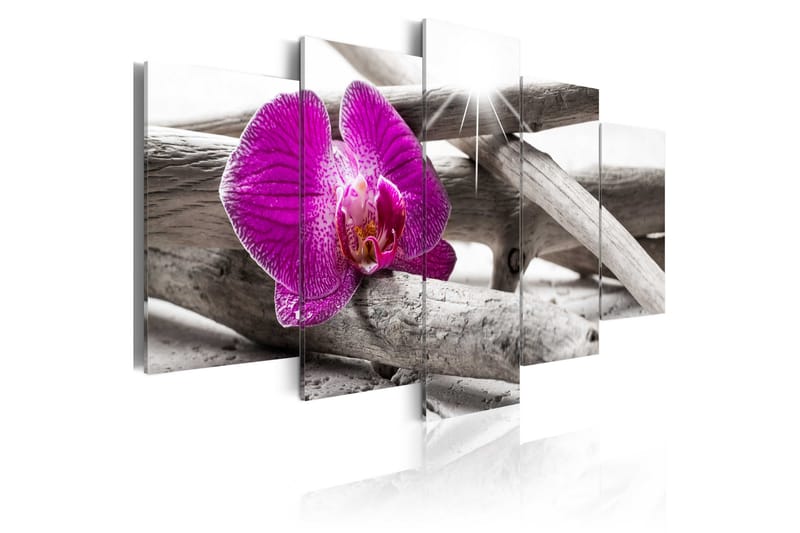 Bilde Orchid On Beach 200x100 - Artgeist sp. z o. o. - Innredning - Bilder & kunst - Lerretsbilder