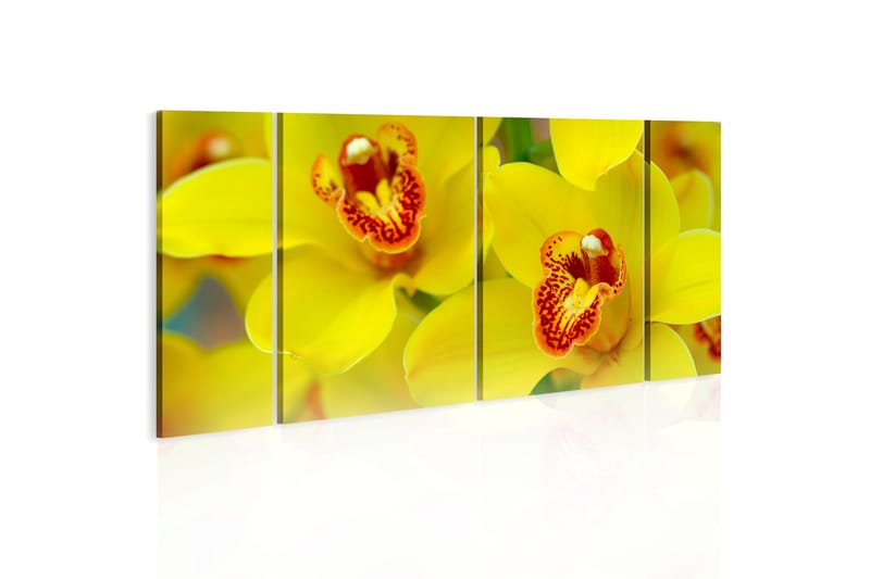 Bilde Orchids Intensity Of Yellow Color 120x60 - Artgeist sp. z o. o. - Innredning - Bilder & kunst - Lerretsbilder