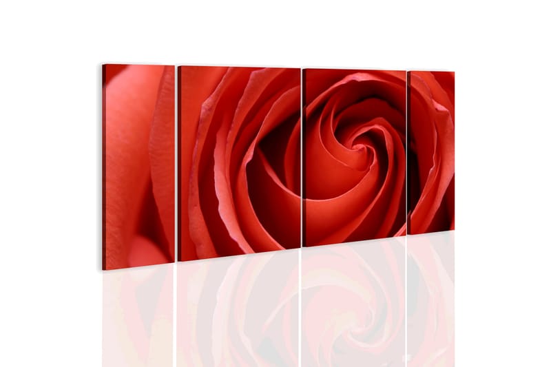 Bilde Passionate Rose 60x30 - Artgeist sp. z o. o. - Innredning - Bilder & kunst - Lerretsbilder