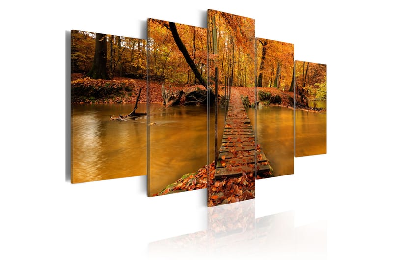 Bilde Redness Of Autumn 200x100 - Artgeist sp. z o. o. - Innredning - Bilder & kunst - Lerretsbilder